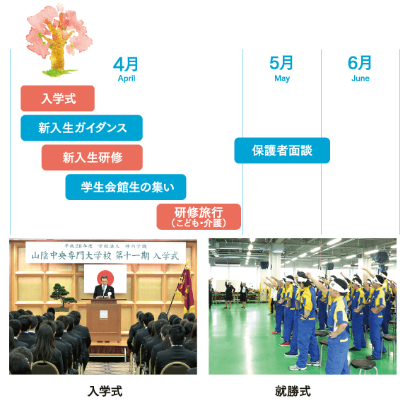 スケジュール